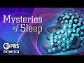 Mysteries of Sleep (2020) | Full Documentary | NOVA DEFAULT Thumbnail