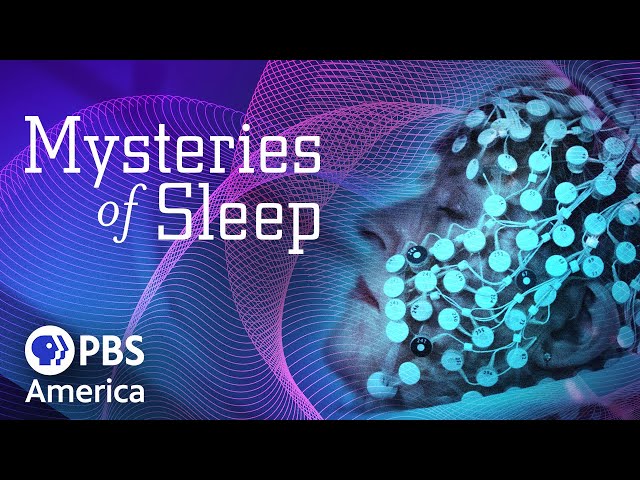 Mysteries of Sleep (2020) | Full Documentary | NOVA SDDEFAULT Thumbnail