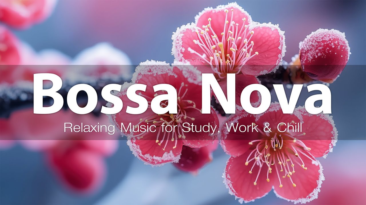 Relaxing Bossa Nova Music for Study, Work, and Relaxation | Calm Bossa Nova Playlist #15