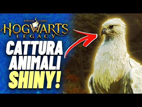 HOGWARTS LEGACY: How to Get Shiny Pets 😱🔥 *Super Rare*