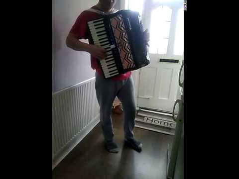 Sale Accordion Parrot 120 bass on ebay.uk