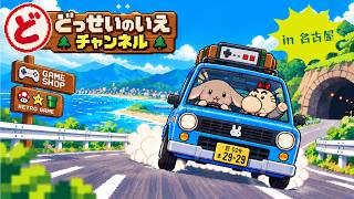 【旅の思い出】まめたまんに会いに名古屋へ行ったよ！【セルバイデポ編】