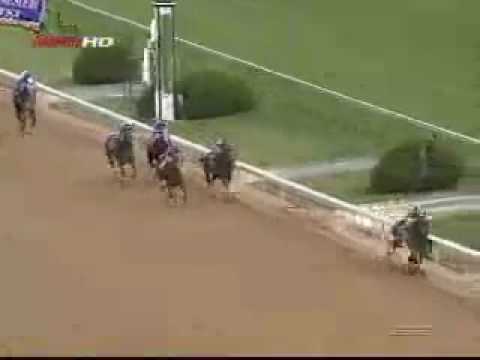 2006 Breeders Cup Juvenile - Street Sense