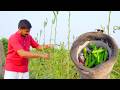 Typical Indian Lunch Making Amazing Indian Cooking Video