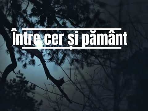 Între cer și pământ (Official Video- Creștin Style)