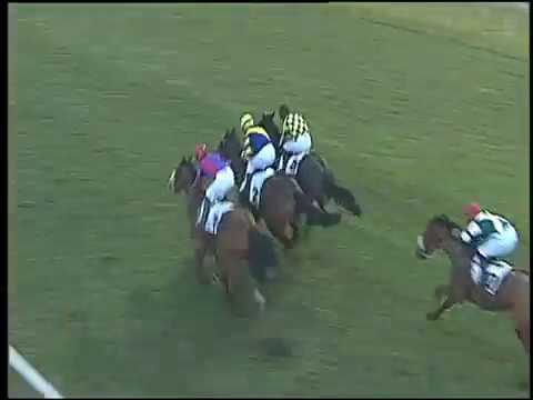 Galoppo 04/02/2017 - 3ª corsa