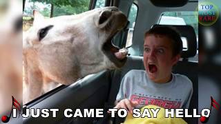 50 Perfectly Timed Photos Ever