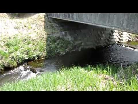 IronFeather finds a golden tea pot in the Japanese canal!