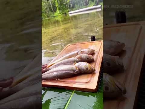 Férias na terrinha Cururupu Maranhão, banho de rio, peixe frito e Reggae. Amo muito.