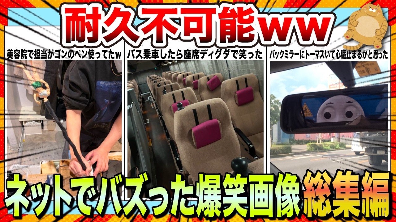 【🔥一気見スペシャル】週末は笑って1週間の元気をチャージしようwwネットでバズりまくった爆笑画像＆動画集【2ch】【5ch】【ゆっくり解説】【コメ付き】【面白画像】