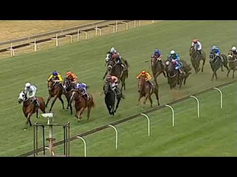 Showdown Kid - Turffontein 8/12/20