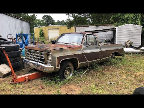 Attempting to bring a FORGOTTEN 1977 Chevy C10 back to life after 20 years of neglect. Will it run