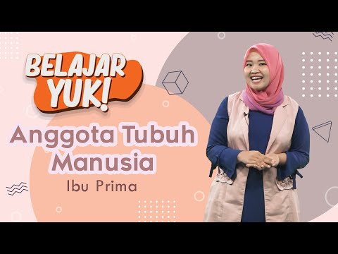 Belajar Yuk: Kosakata Anggota Tubuh Manusia