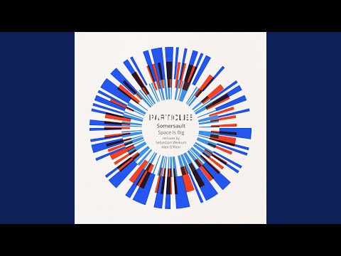 Space Is Big (Sebastian Weikum presents The Vehicle Remix)