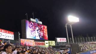 大引啓次 登場曲 2017 Bolero - Def Tech  4月30日 神宮球場