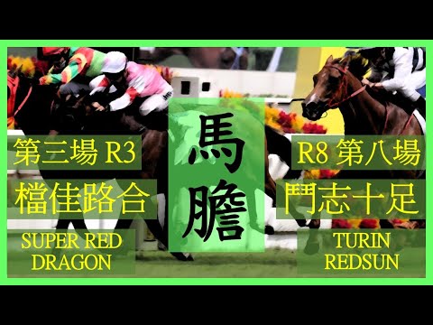 【賽馬貼士】Nek Chang 馬膽 Banker R3 檔佳路合 SUPER RED DRAGON R8 鬥志十足 TURIN REDSUN Hong Kong Horse Racing Tips