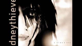 Kidney Thieves Spank (KMFDM)