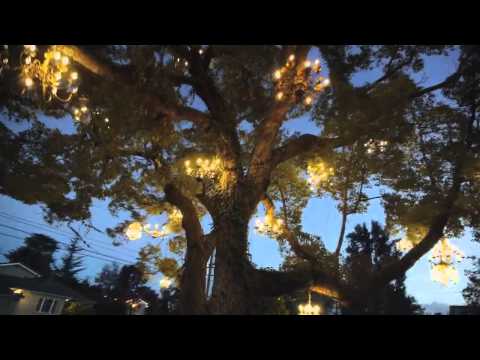 Montreal - Baltic Sound