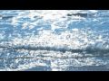 Mark Kozelek - Lost Verses (live) 
