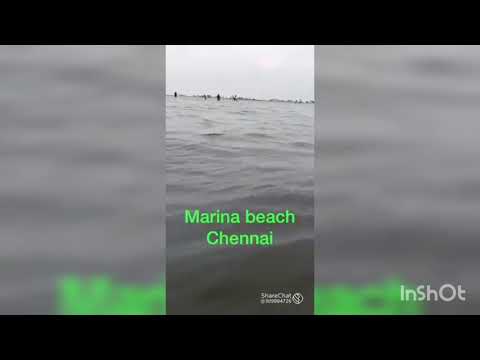 wow super Marina Beach dis