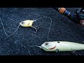 The NEW Zig-Zag topwater bait!