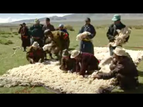 How to Make Felt | Ray Mears Extreme Survival | BBC Studios