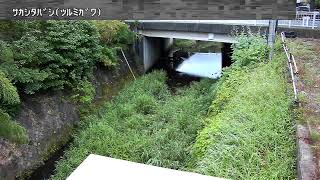 坂下橋映像監視局