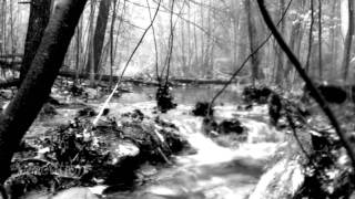 Waltz 1 by Elliot Smith Lyrics