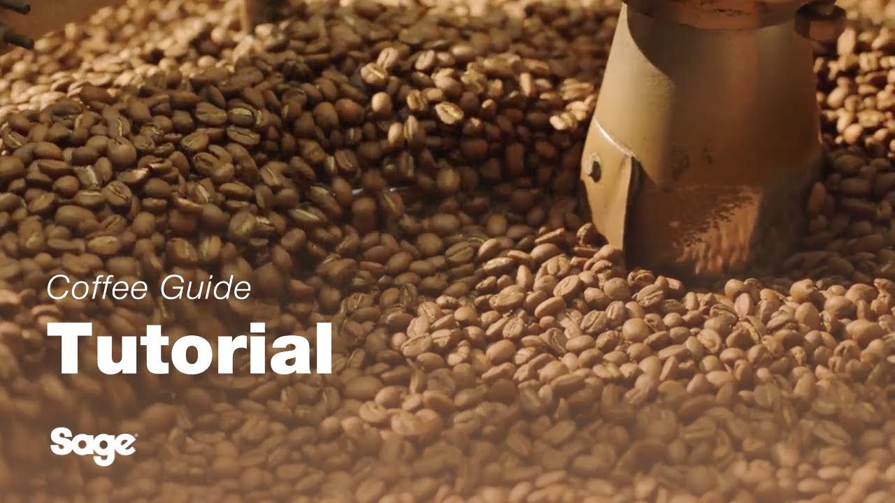 Breville coffee guide tutorial - Choosing the right beans 
