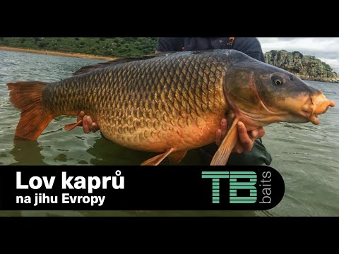 Lov kaprů na jihu Evropy - Vojta Novotný a Bohouš  "Wormik" Červík/ CARPFISHING