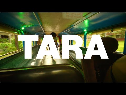 IV OF SPADES - Tara (Official Lyric Video)