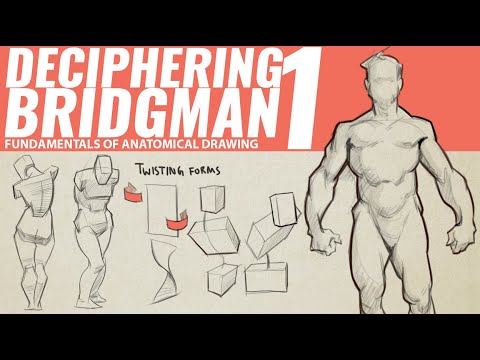 DECIPHERING BRIDGMAN'S ANATOMY 1