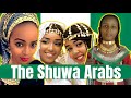 Arabs in Nigeria?!?! The Shuwa Arabs of Northeastern Nigeria