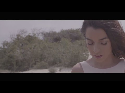 Video thumbnail for Flamingos
