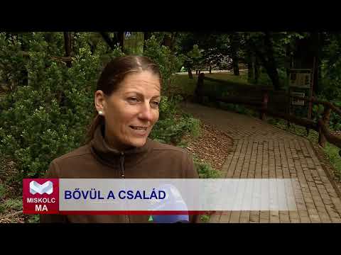 Videó előnézet