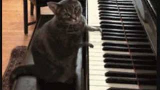 Itchy Twitchy Feelin-Bobby Hendricks