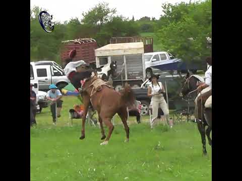 Rueda en basto Dario Monzón en el festival del Chofer Gaucho en El Pingo Entre Rios
