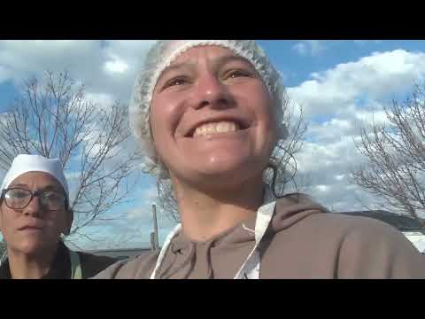 PROGRAMA 1258/FIESTA DE LA TORTAFRITA-LOS CONQUISTADORES/ DOS CIUDADES UN DESTINO