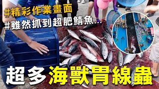 [問卦] 為什麼日本的海產比台灣出名？