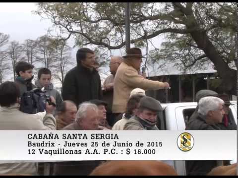 25-06-15 Venta de Vaquillonas P.C. - Santa Sergia - Baudrix