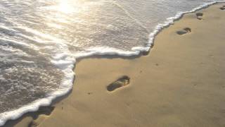 La libertà - Marco Masini