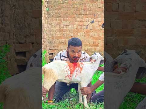 Village family love😢 #viral #ternding #emotional #sadstory #love ..