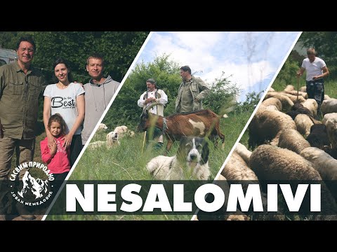 TEASER: Nesalomivi