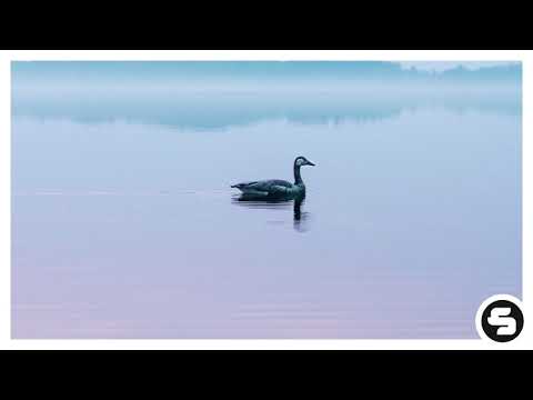 Jonas Schmidt, Fenox & Laeko feat. Mingue - Take What's Yours (Damboo Remix)