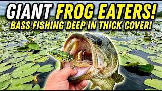Fishing for BIG Frog Eaters! Bass Fishing DEEP in thick Cover!