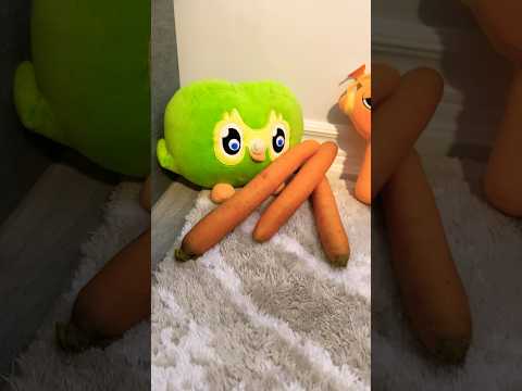 Unexpected Duo Owl Funny Chaos IRL 😂 Viral Madness Moments