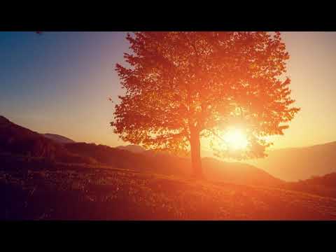 Psalm 63A (U bent mijn God) - Christian Verwoerd