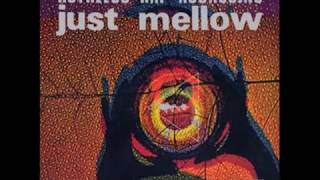 Ruthless Rap Assassins - Just Mellow (Norman Cook 7" Remix).wmv