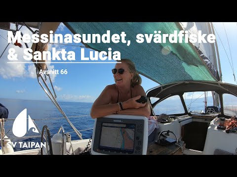 The Straight of Messina, swordfishing and Saint Lucia.