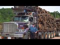 Denny Olson Trucking | Western Star Trucks